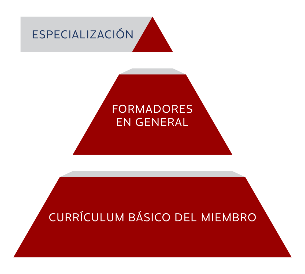 piramide curriculum
